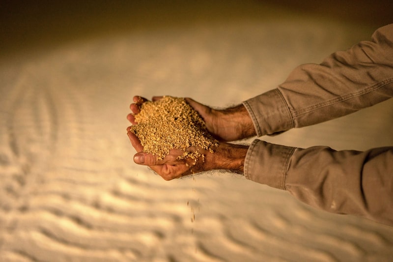 Harina de soja.
Foto: Sebastian Lopez Brach/Bloomberg Harina de soja.
Foto: Sebastian Lopez Brach/Bloomberg