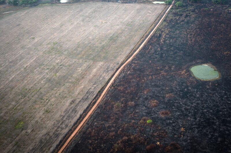 Incêndio traz perdas em Rondônia Incêndio traz perdas em Rondônia