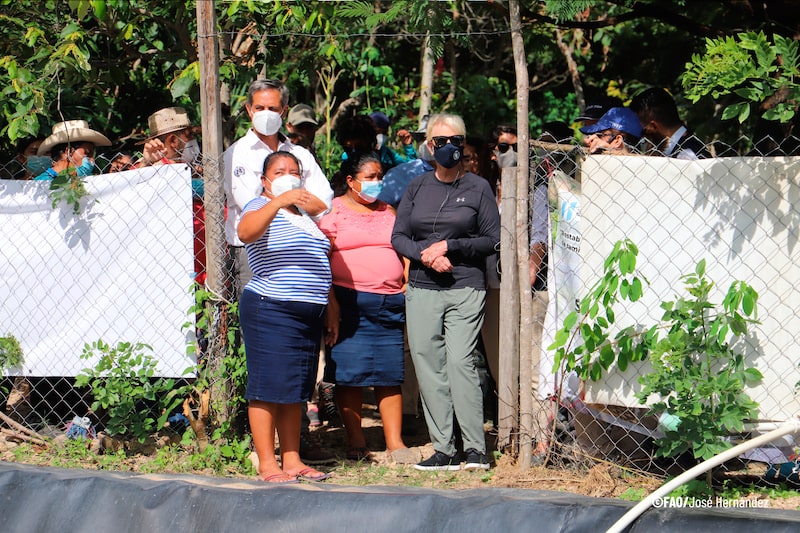 La embajadora Cindy McCain, representante permanente de los Estados Unidos ante la FAO y las agencias de la ONU visitó varios proyectos agrícolas que contribuyen a la seguridad alimentaria. La embajadora Cindy McCain, representante permanente de los Estados Unidos ante la FAO y las agencias de la ONU visitó varios proyectos agrícolas que contribuyen a la seguridad alimentaria.