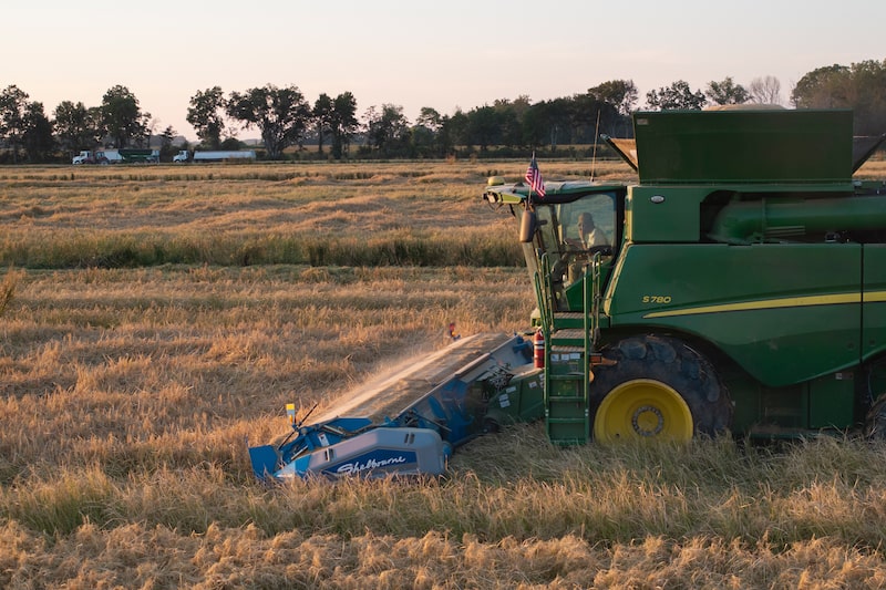 A Rice Harvest As Global Rice Production Set To Fall For First Time In Decade A Rice Harvest As Global Rice Production Set To Fall For First Time In Decade