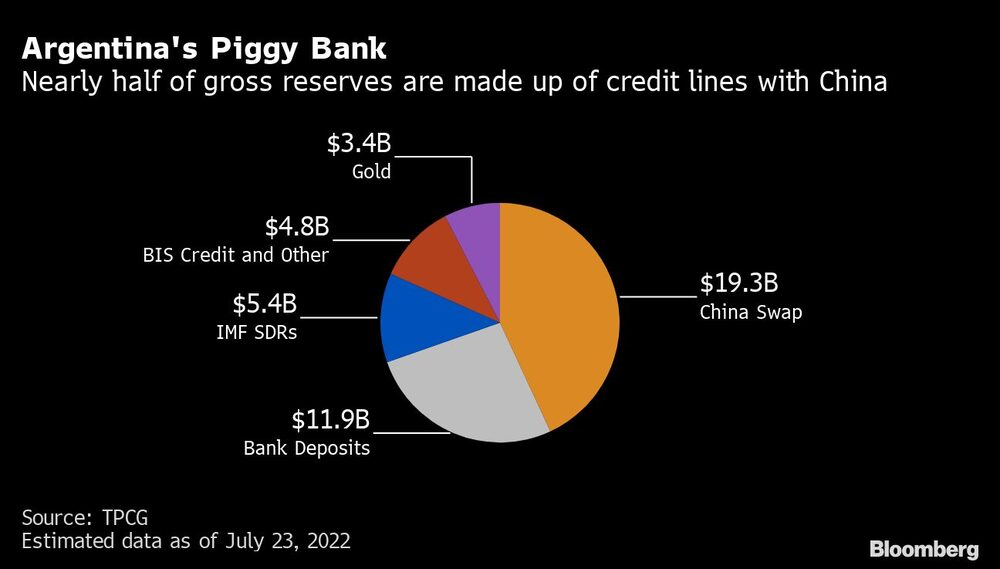 Argentina's Piggy Bank | Nearly half of gross reserves are made up of credit lines with China Argentina's Piggy Bank | Nearly half of gross reserves are made up of credit lines with China
