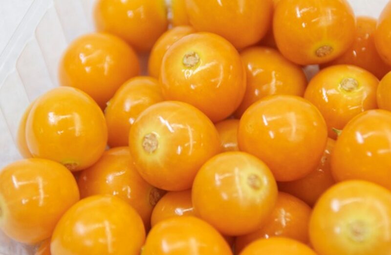 Uchuva colombiana, entre los ingredientes de los postres de la Casa Blanca. Uchuva colombiana, entre los ingredientes de los postres de la Casa Blanca.