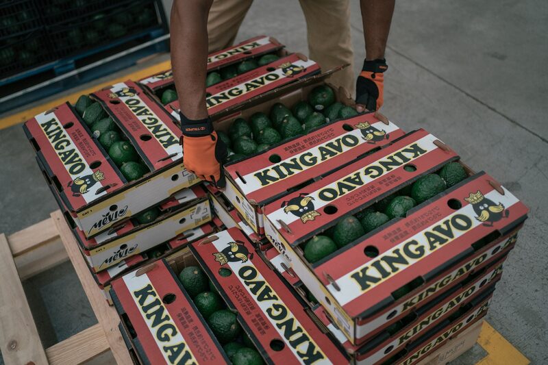 Un trabajador apila cajas de aguacates en una planta empacadora en Ciudad Guzmán, Jalisco, México.Fotógrafo: Luis Antonio Rojas/Bloomberg Un trabajador apila cajas de aguacates en una planta empacadora en Ciudad Guzmán, Jalisco, México.Fotógrafo: Luis Antonio Rojas/Bloomberg