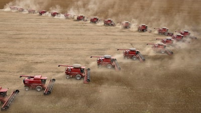 Expansão da soja brasileira ameaça preços no mercado global Expansão da soja brasileira ameaça preços no mercado global