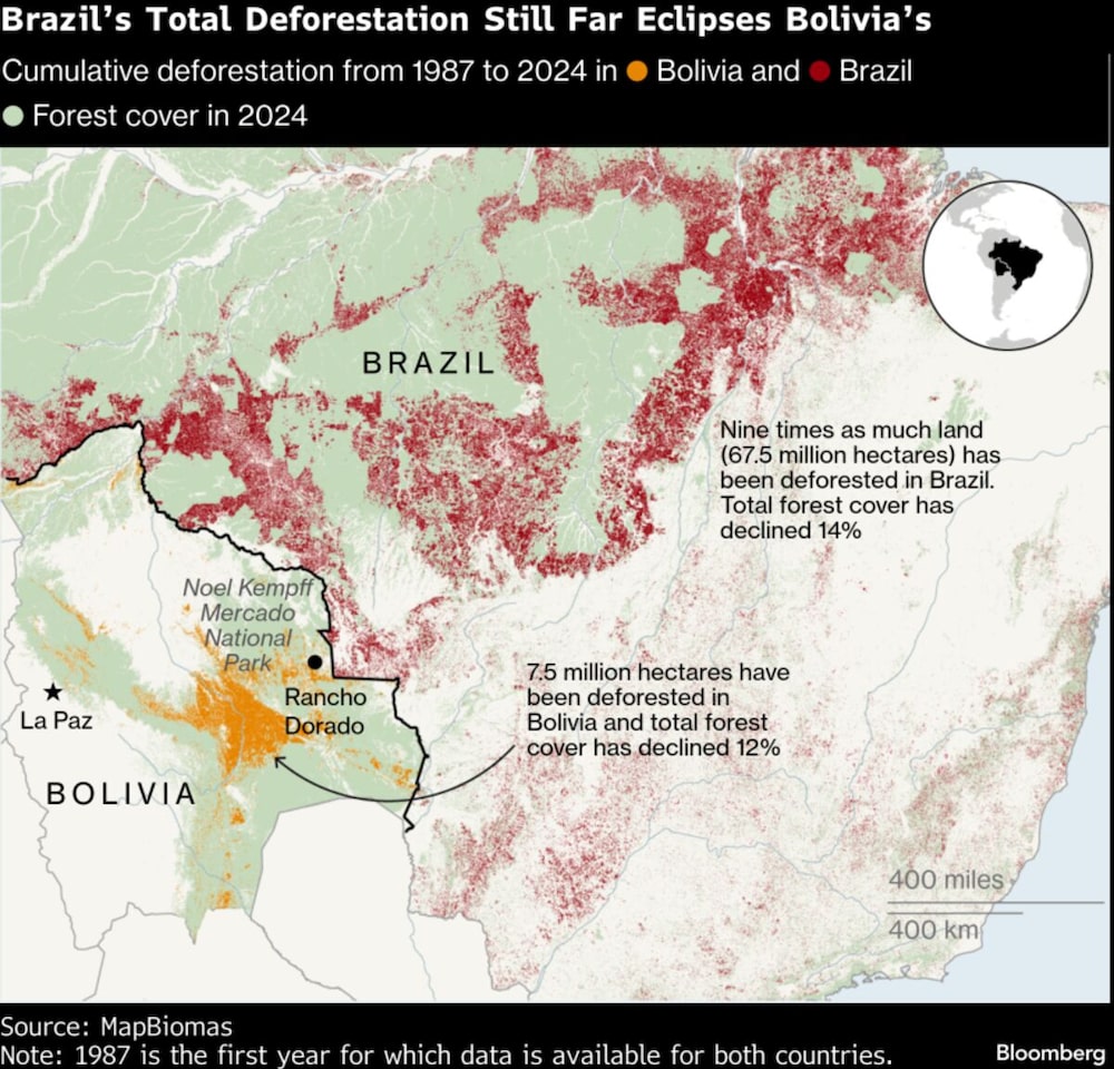 Brazil's Total Deforestation Still Far Eclipses Bolivia's Brazil's Total Deforestation Still Far Eclipses Bolivia's
