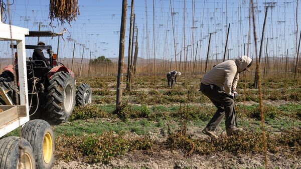 De ADM a Nutrien: gigantes agrícolas dos EUA sofrem prejuízos com tarifas De ADM a Nutrien: gigantes agrícolas dos EUA sofrem prejuízos com tarifas