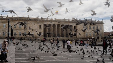 Inversión en Colombia en mínimos históricos: ¿qué proponen De La Espriella, Paloma y Cepeda para reactivarla? Inversión en Colombia en mínimos históricos: ¿qué proponen De La Espriella, Paloma y Cepeda para reactivarla?