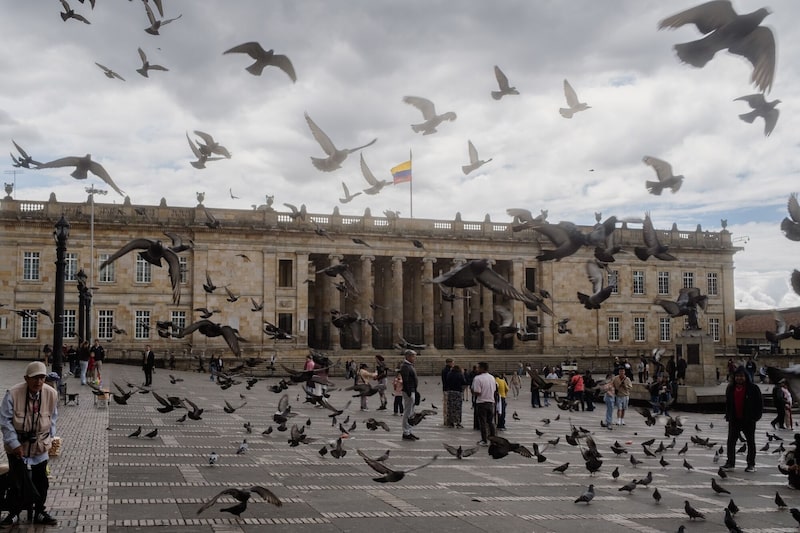 El Congreso de Colombia en Bogotá, el lunes 30 de marzo de 2026. Es probable que el Banco Central de Colombia aplique una segunda subida consecutiva de 100 puntos básicos a los tipos de interés, con lo que la tasa de referencia se situaría en el 11,25 %. El Congreso de Colombia en Bogotá, el lunes 30 de marzo de 2026. Es probable que el Banco Central de Colombia aplique una segunda subida consecutiva de 100 puntos básicos a los tipos de interés, con lo que la tasa de referencia se situaría en el 11,25 %.