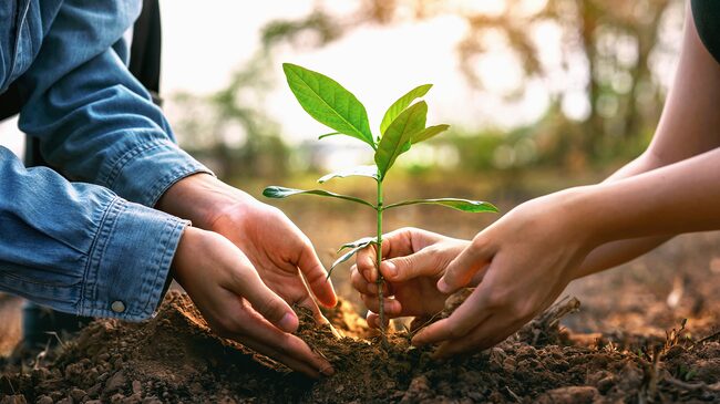 Conteúdo Patrocinado Conteúdo Patrocinado