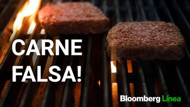 Você comeria carne feita em laboratório? Você comeria carne feita em laboratório?