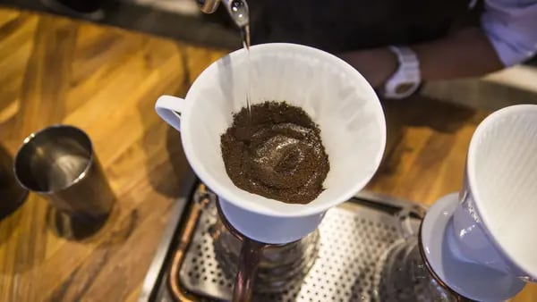 Café descafeinado ganha espaço e é nova moda entre baristas e amantes da bebidadfd