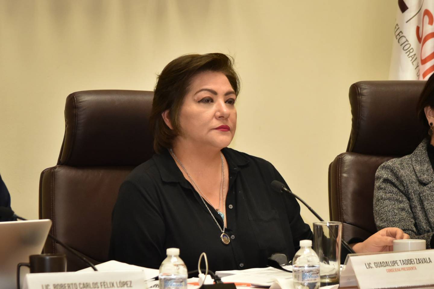 Guadalupe Taddei Zavala, nueva consejera presidenta del INE (Cortesía: IIE Sonora)