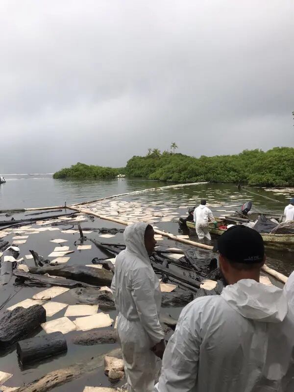 Además de isla Galeta, cuatro sitios diferentes de manglares y áreas protegidas se perjudicaron: isla Largo, isla Remo, isla Peina e isla Guapa en el caribe panameño.