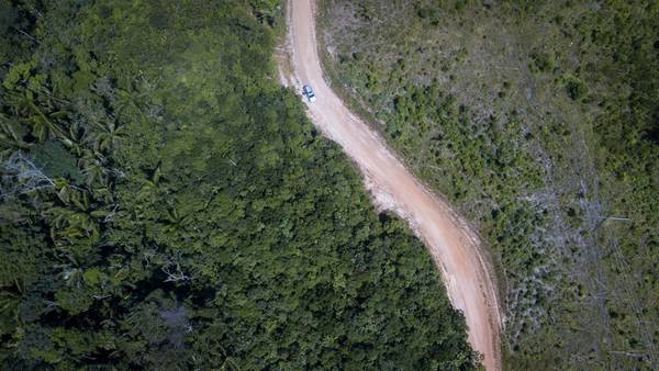 Los departamentos colombianos que más sufren por la deforestación en 2022dfd