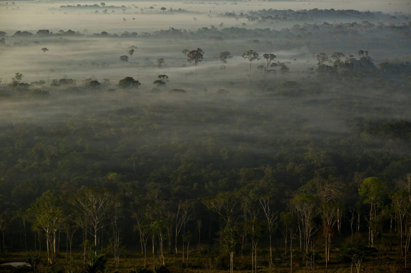 Ferrocarril de la selva amazónica podría subastarse el próximo año, según Brasil