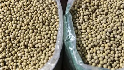 China compra grãos dos EUA com efeito da guerra na Ucrânia