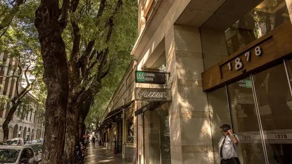 Fondo brasileño Vista reporta ganancias en Argentina y dice que Milei es subestimado dfd