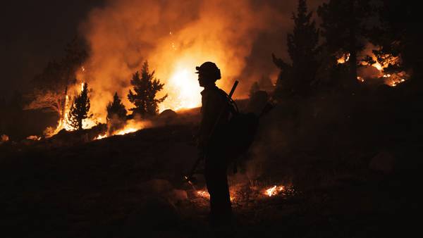 Incendios forestales récord causarían US$200.000 millones en daños a nivel globaldfd