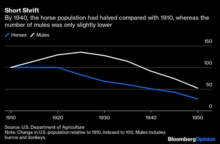 En 1940, la población de caballos se había reducido a la mitad en comparación con 1910, mientras que el número de mulas era sólo ligeramente inferior.dfd