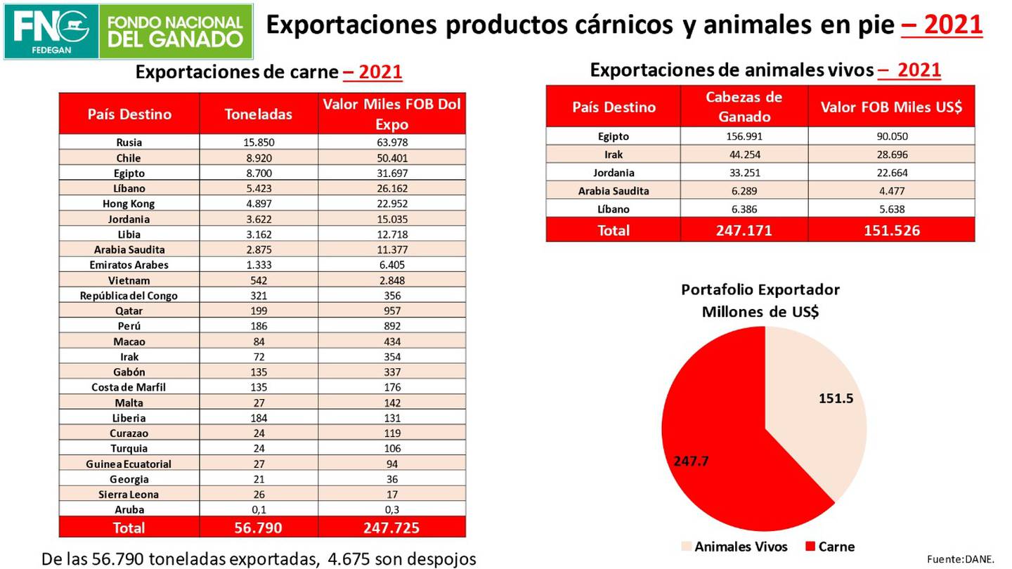 Exportaciones de carne colombianadfd