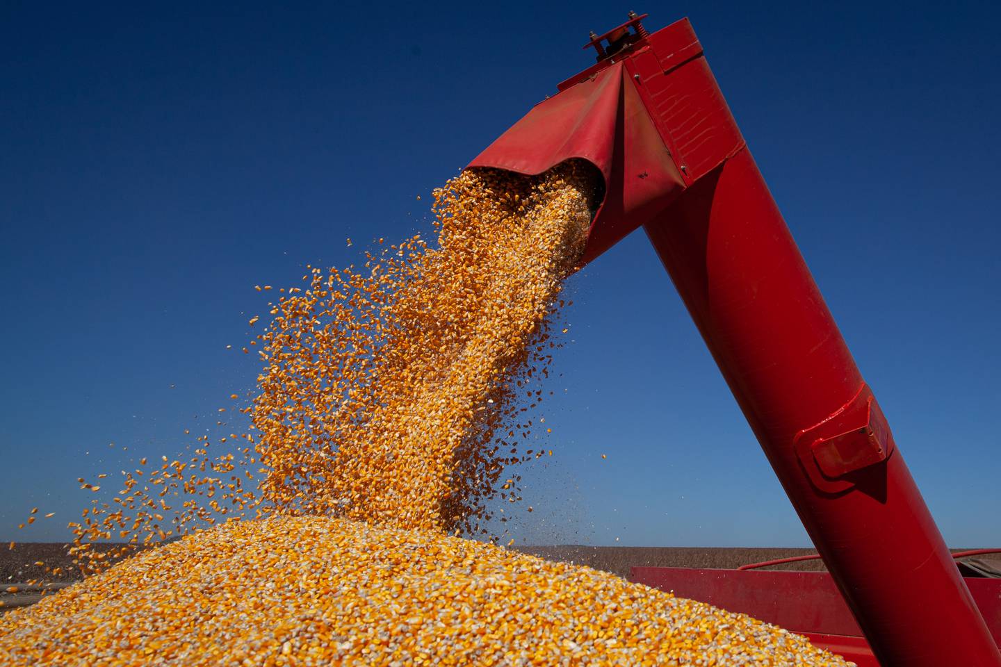 China amplia interesse no milho brasileiro e exportações podem chegar a um novo recorde ainda neste ano