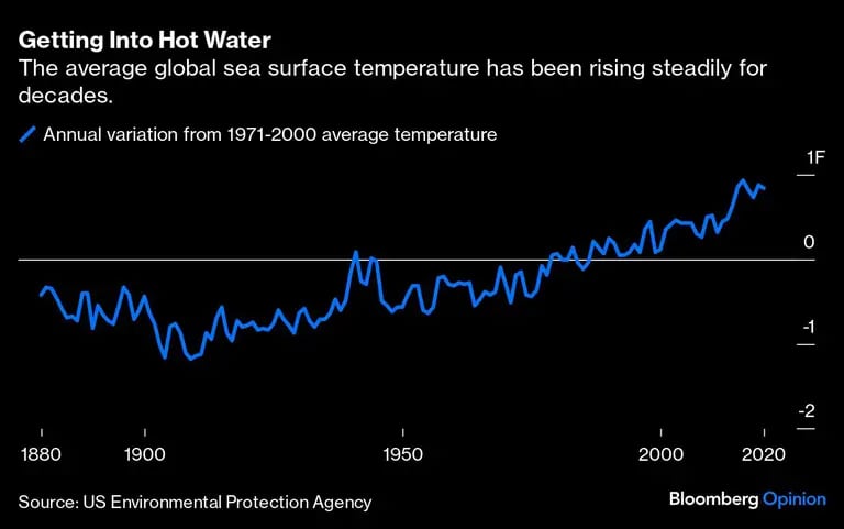 La temperatura promedio del mar ha estado subiendo de manera constante durante décadasdfd