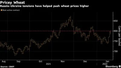 Preços do trigo: tensões entre Rússia e Ucrânia ajudaram a elevar os preços do trigo
