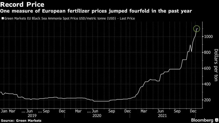 Una medida de los precios de los fertilizantes europeos se multiplicó por cuatro en el último añodfd