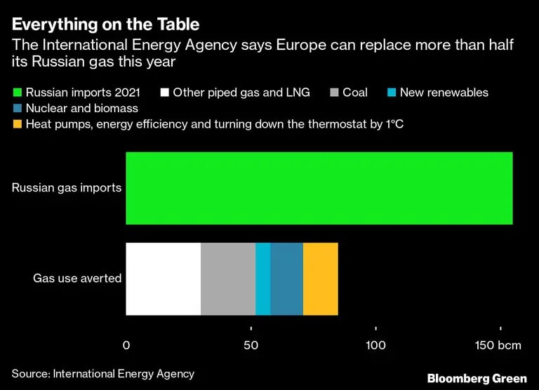 La Agencia Internacional de Energía dice que Europa puede reemplazar más de la mitad de gas ruso este añodfd