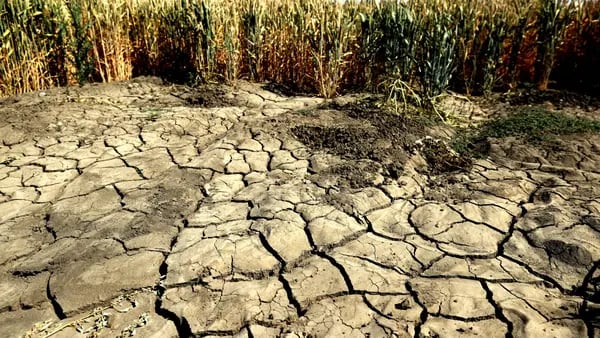 Guerras por el agua se desatan en el oeste de EE.UU.: Amanda Littledfd