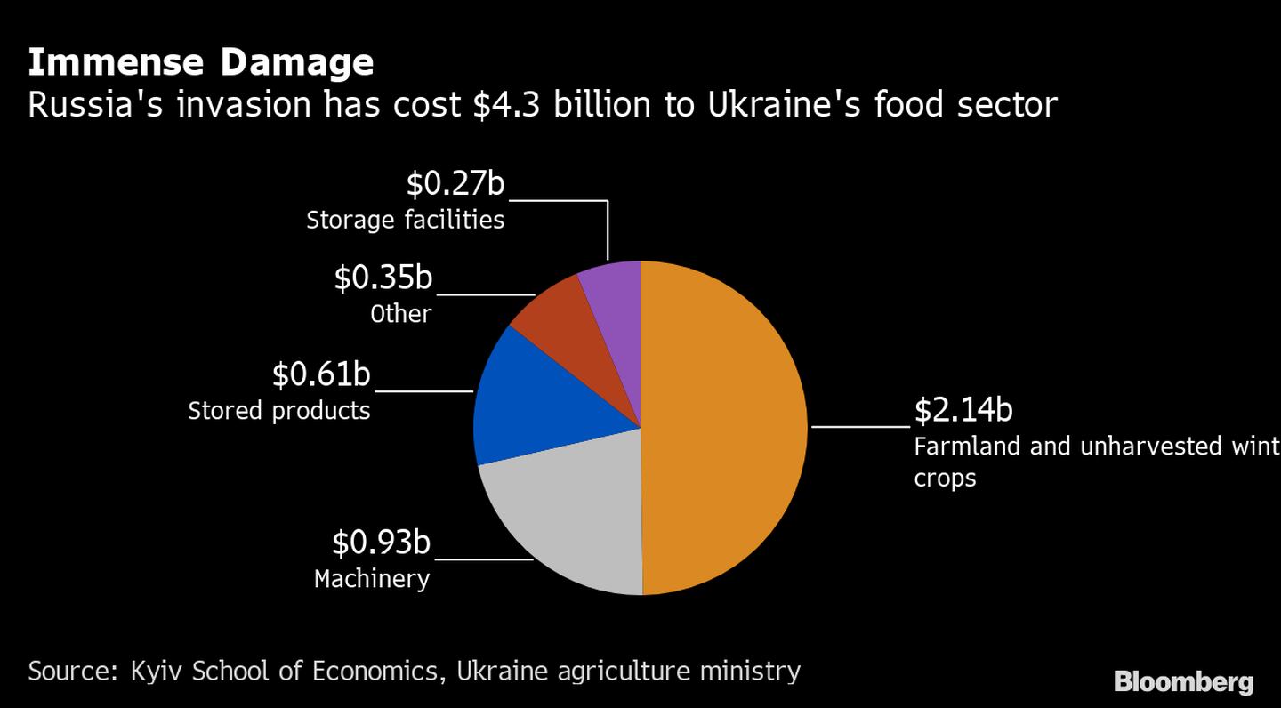 Invasión rusa ha costado US$4.300 millones al sector de alimentos de Ucrania. dfd