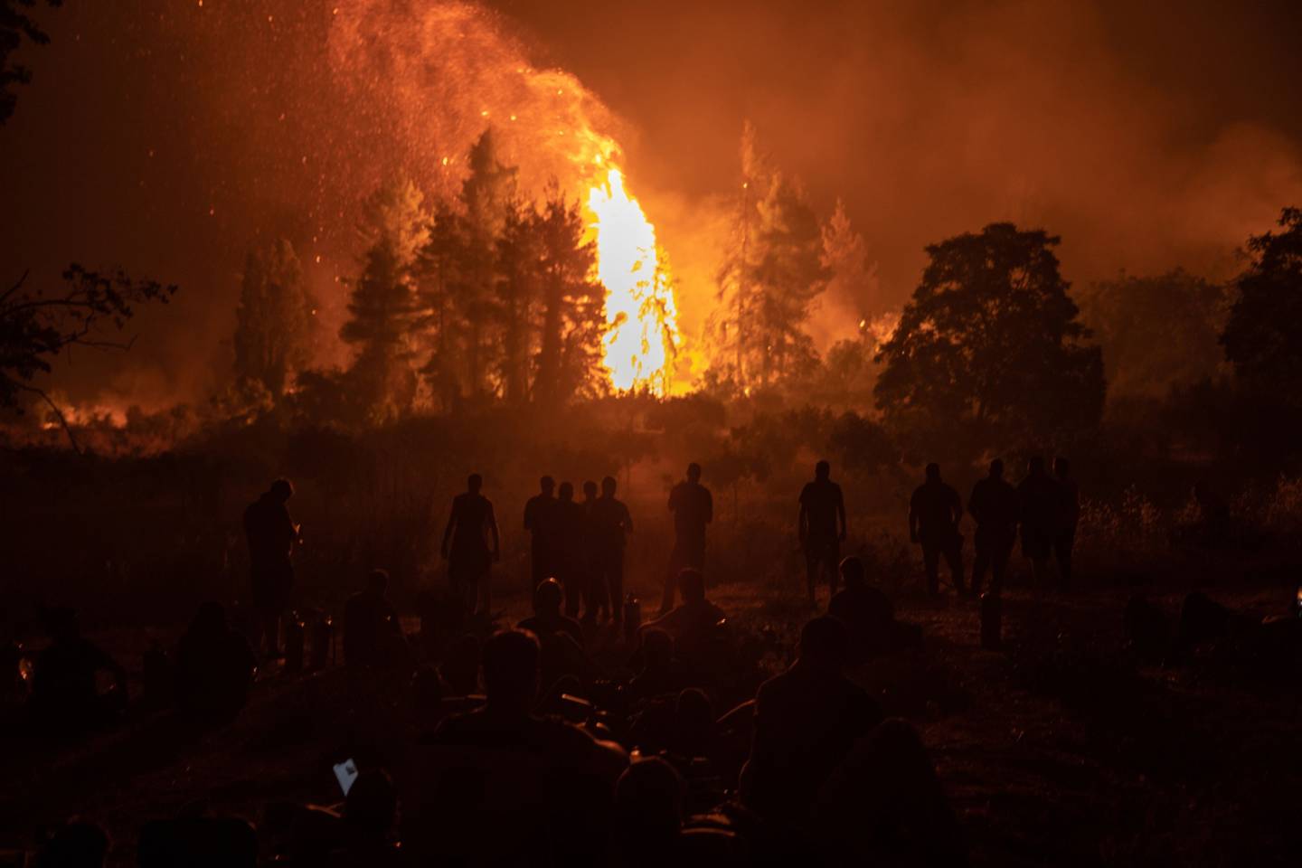 Incêndios florestais são consequência do aquecimento global
