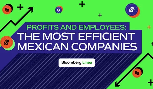 Mexican company earnings by employee.