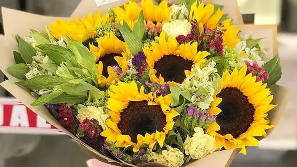 Flores amarillas, una tradición con raíz argentina impulsa ventas cada 21 de septiembredfd