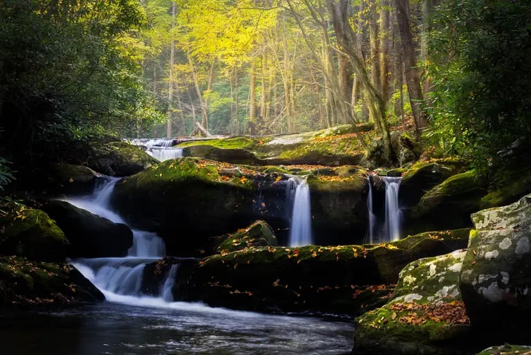 Parque Nacional Great Smoky Mountain é destaque do turismo no Tennesseedfd