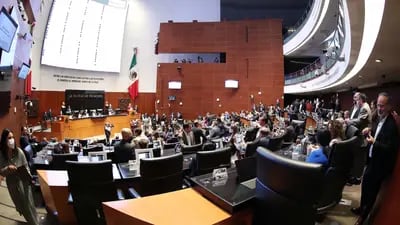 El Gobierno mexicano percibirá MXN$11.008 millones por el cobro de servicios que presta el Estado en funciones de derecho público como es la emisión del pasaporte. (Cortesía: Senado)