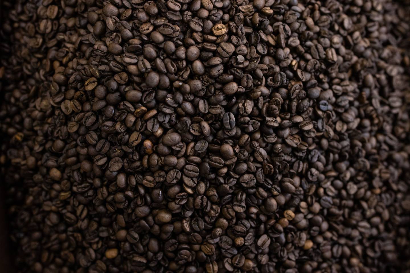 Coffee beans in a roasting facility in Caconde, Sao Paulo state, Brazil.