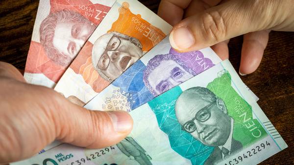 ¿En qué invertir si se gana un salario mínimo en Colombia? Anote algunas opcionesdfd