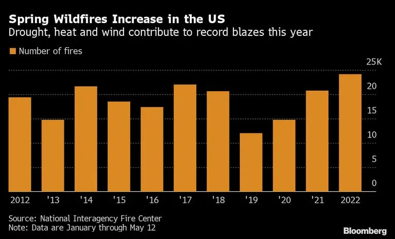Spring Wildfires Increase in the US | Drought, heat and wind contribute to record blazes this yeardfd