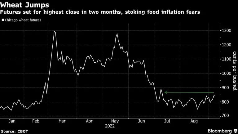 Los futuros se preparan para un cierre más alto en dos meses, avivando el temor a la inflación de los alimentosdfd