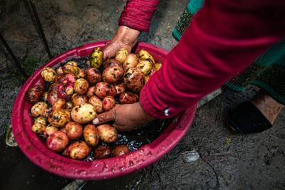 Los productos de la canasta básica subieron por el paro en Ecuador, ¿podrán bajar?dfd