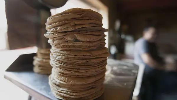 Tortilla sube a MXN$20 el kilo en Ciudad de México y Edomex a un mes de guerra en Ucraniadfd