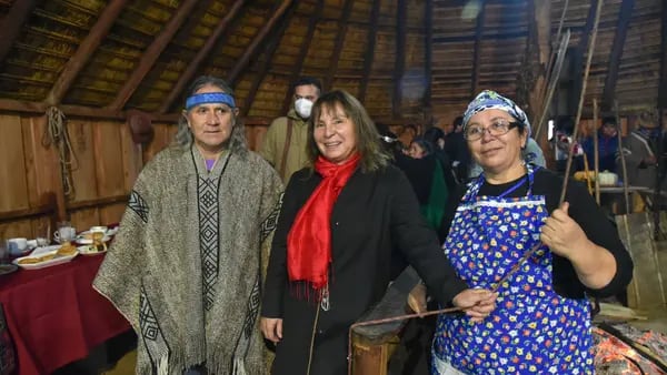 Boric acepta renuncia de ministra tras ser vinculada con líder mapuche radicaldfd