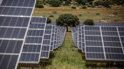 Represión de EE.UU. a los evasores de tarifas solares pone en riesgo ambiciones ecológicas de Biden dfd